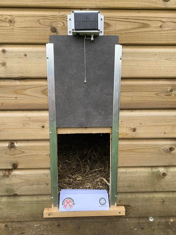Automatic anti-crush door on wooden hen house
