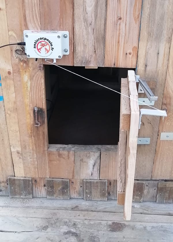 La Corlavoise, module de fermeture avec mini groom sur la porte d'un poulailler fait maison.