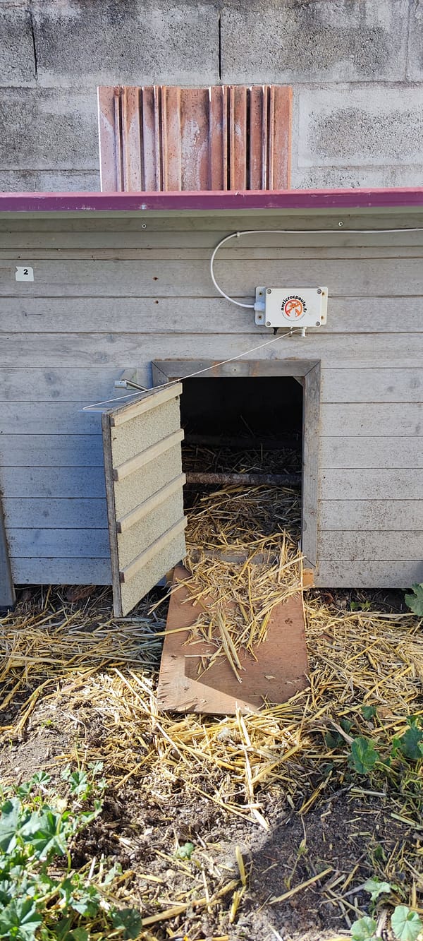 Solar powered anti-hen module with mini groom on a wooden hen house