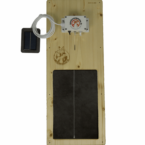 Porte automatique pour poulailler en bois cellule solaire déportée