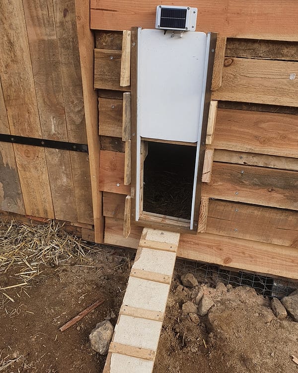 Module de fermeture automatique solaire sur un poulailler en bois avec une porte fabriquée maison.