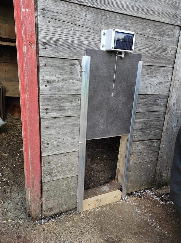 Porte solaire automatique type guillotine sur un poulailler en bois.